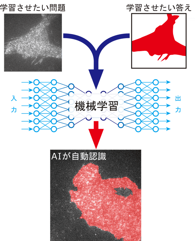 学習の流れ